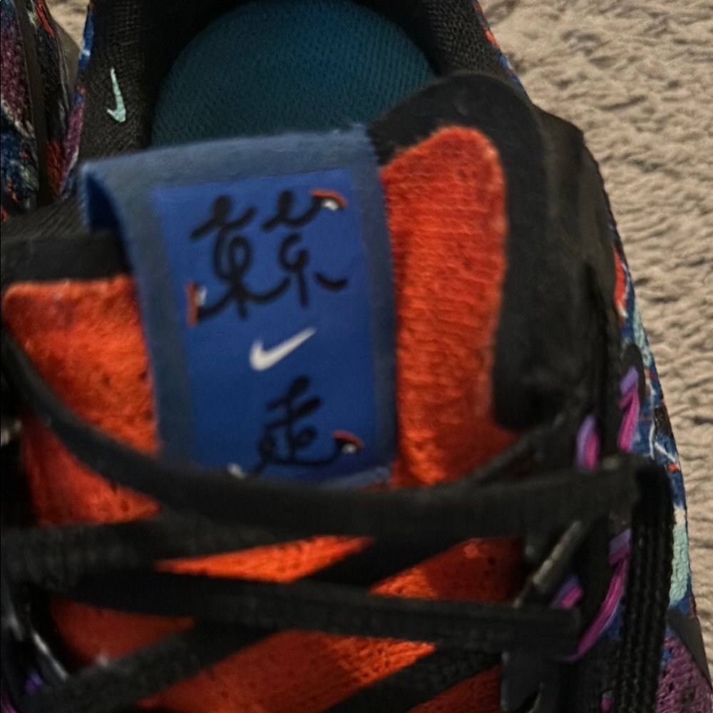 Nike Zoom Pegasus 33 .  Size 10
